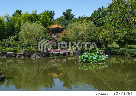 公園の風景 中国の自然山水をイメージした中国庭園 瀋秀園 神奈川県川崎市 公園の風景 中国の自然山水をイメージした中国庭園 瀋秀園 神奈川県川崎市 80771764