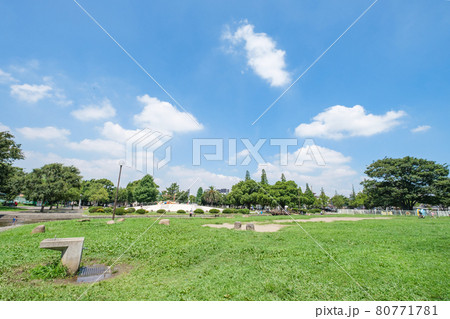 公園の風景 豊かな緑と広大な芝生の広場 大師公園 神奈川県川崎市 公園の風景 豊かな緑と広大な芝生の広場 大師公園 神奈川県川崎市 80771781