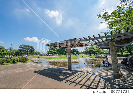 公園の風景　水遊びを楽しむファミリー　大師公園　神奈川県川崎市 80771782