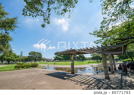 公園の風景 水遊びを楽しむファミリー 大師公園 神奈川県川崎市 公園の風景 水遊びを楽しむファミリー 大師公園 神奈川県川崎市 80771783