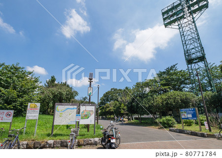 公園の風景　緑豊かな大師公園　神奈川県川崎市 80771784