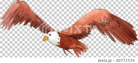 Tourism day concept watercolor Tourism day concept watercolor 80772534