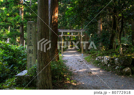 瓜割の滝 80772918