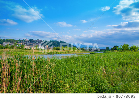 碓氷川 安中製錬所 西毛総合運動公園付近 初夏の風景 碓氷川 安中製錬所 西毛総合運動公園付近 初夏の風景 80773095