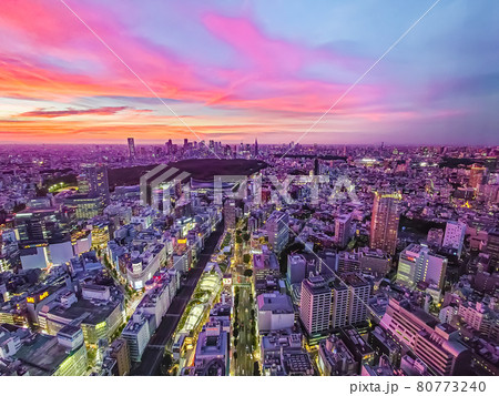 東京 80773240