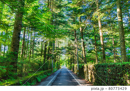 夏の軽井沢 閑静な別荘地 夏の軽井沢 閑静な別荘地 80773429