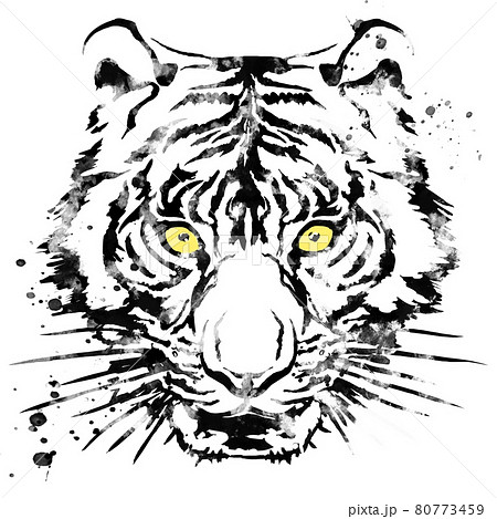 虎の顔面アップのイラスト素材