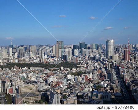 東京 六本木ヒルズ、東京ミッドタウン 80773480