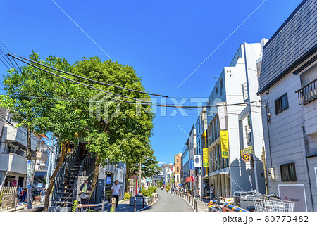 東京渋谷の都市風景　渋谷キャットストリート 80773482