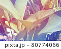 トロピカルな南国の植物 80774066