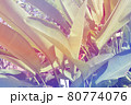 トロピカルな南国の植物 80774076