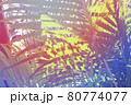 トロピカルな南国の植物 80774077