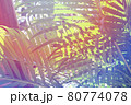 トロピカルな南国の植物 80774078