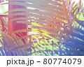 トロピカルな南国の植物 80774079
