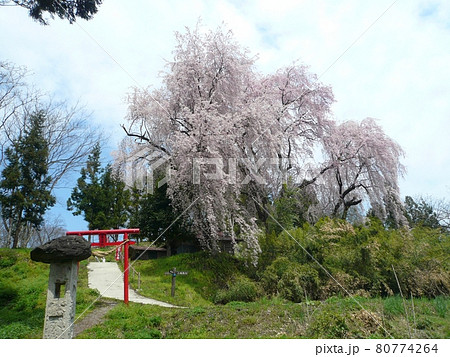 長谷堂城址 (山形県山形市) 長谷堂城址 (山形県山形市) 80774264