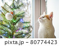 A tricolor domestic cat looks Christmas tree. 80774423
