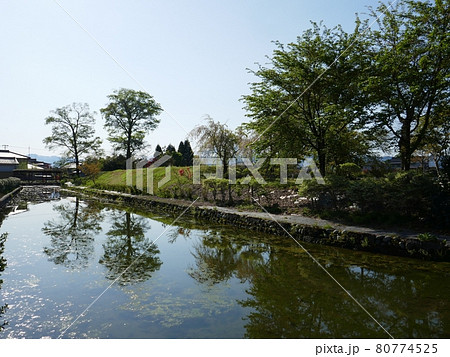 丸岡城 (山形県鶴岡市) 丸岡城 (山形県鶴岡市) 80774525