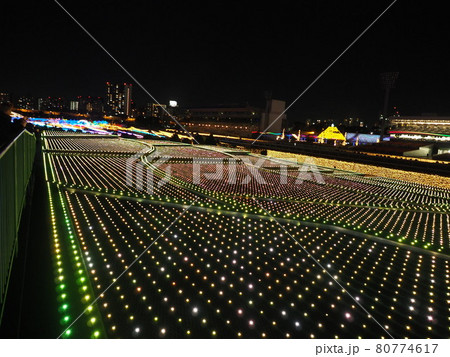 東京イルミネーション　（東京メガイルミ） 80774617