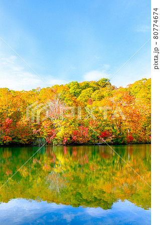 鎌池の紅葉 80774674