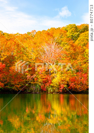 鎌池の紅葉 80774713