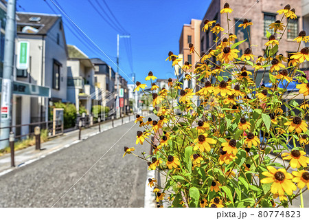 東京渋谷の都市風景 渋谷キャットストリートのイメージカット 東京渋谷の都市風景 渋谷キャットストリートのイメージカット 80774823