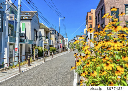 東京渋谷の都市風景　渋谷キャットストリート 80774824