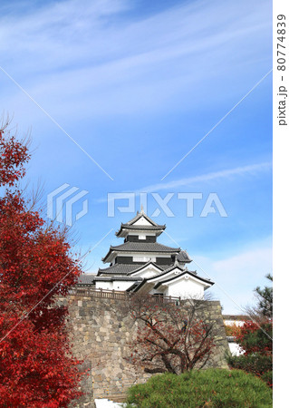秋の小峰城(福島県・白河市) 秋の小峰城(福島県・白河市) 80774839