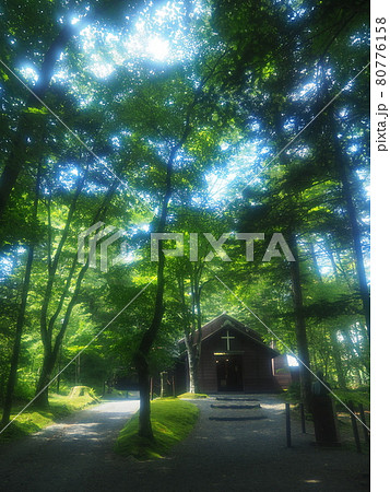 夏の旧軽井沢（ショー記念礼拝堂） 80776158