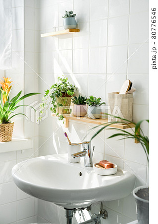 White modern bathroom in eco friendly style White modern bathroom in eco friendly style 80776546