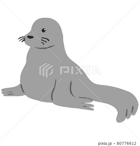 アシカのイラスト素材