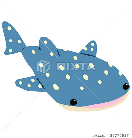 ジンベエザメのイラスト素材
