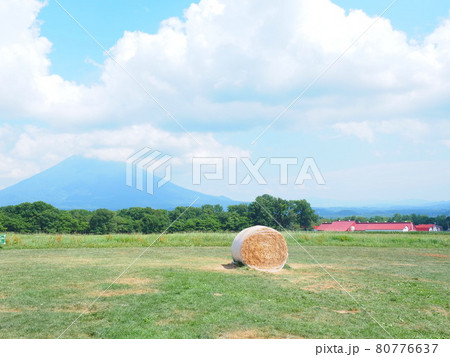 北海道の風景 ニセコ高橋牧場 牧草ロール 北海道の風景 ニセコ高橋牧場 牧草ロール 80776637