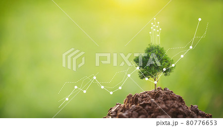 CSR concept and business planting 80776653