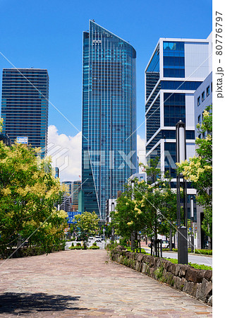 東京　虎ノ門のオフィス街 80776797