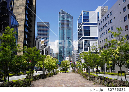 東京　虎ノ門のオフィス街 80776821