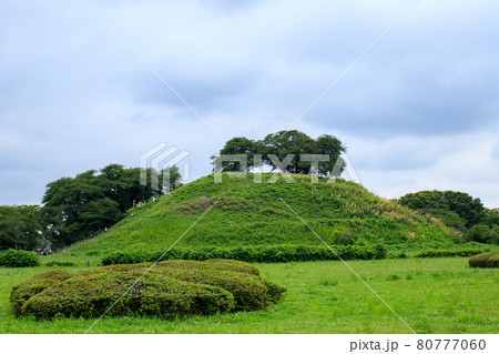 さきたま古墳公園の丸墓山古墳 さきたま古墳公園の丸墓山古墳 80777060