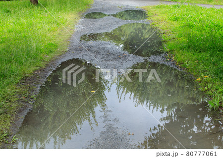 さきたま古墳公園の水溜り 80777061
