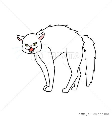 やんのかステップ 80777168