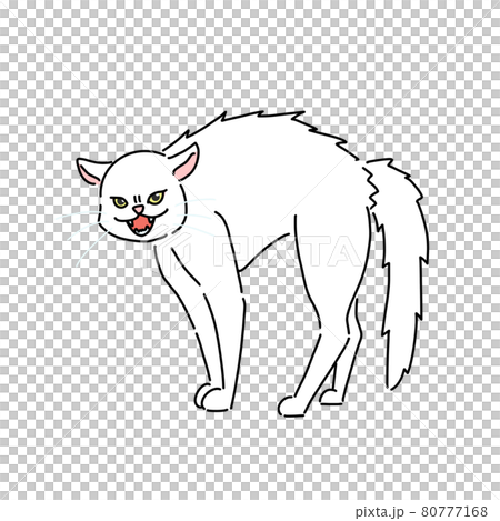 やんのかステップ 80777168