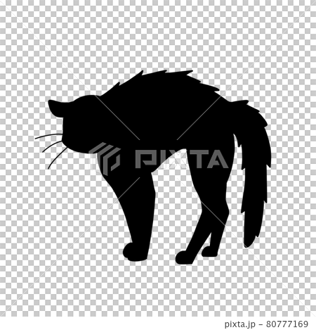 やんのかステップ シルエット やんのかステップ シルエット 80777169