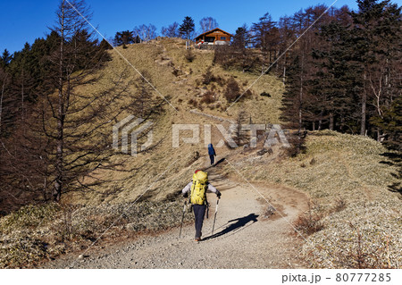 雲取山山頂直下を行く登山者 80777285