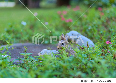 草原の上に立つ豚とうさぎとハリネズミの置物の写真素材 草原の上に立つ豚とうさぎとハリネズミの置物の写真素材