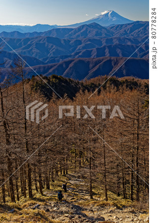 雲取山稜線を行く登山者と富士山の眺め 80778284