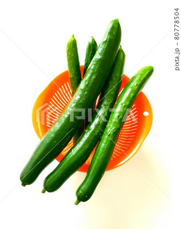 すくすく育った1本の巨大きゅうり 80778504