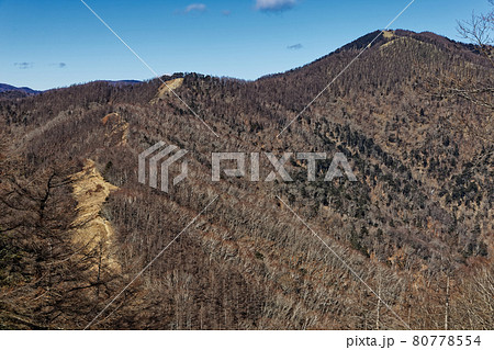 奥多摩・七ツ石山から見る雲取山 奥多摩・七ツ石山から見る雲取山 80778554