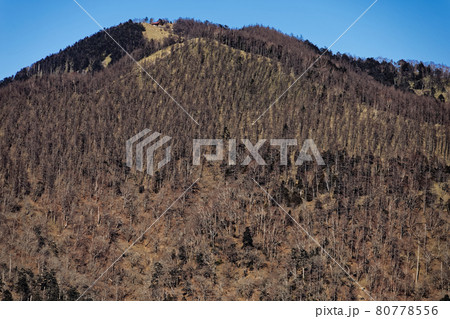 奥多摩・七ツ石山から見る雲取山 奥多摩・七ツ石山から見る雲取山 80778556