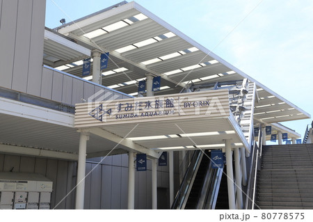 東京スカイツリー　すみだ水族館　 80778575