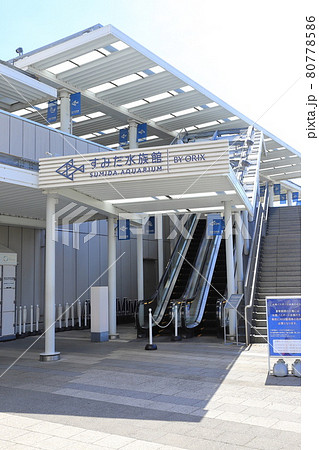 東京スカイツリー　すみだ水族館　 80778586