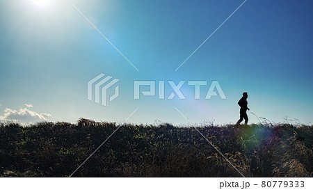 草原を走るランナー 草原を走るランナー 80779333