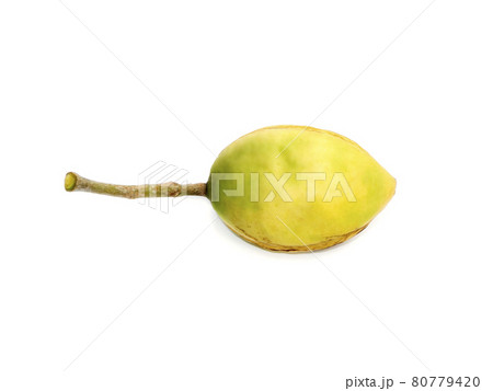 Fresh Tropical almond fruit on white background. 80779420